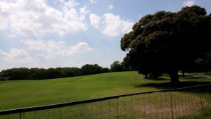 １人散歩～浦島太郎になる～