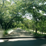 残業がしたいらしい