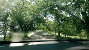 残業がしたいらしい