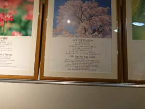 お寺でみつけた仏教の言葉