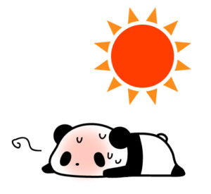 頑張りましたけど・・・・