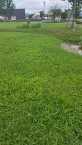 シャボン玉ホリデー