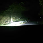 夜景~小鹿に遭遇~