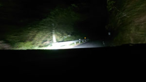 夜景～小鹿に遭遇～