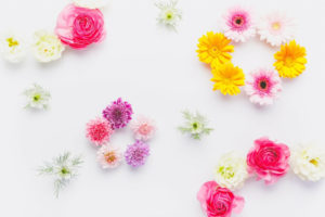 やっと決まったカバン