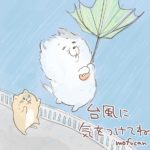 台風怖い
