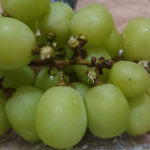 シャインマスカット泥棒