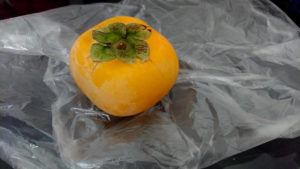 どうなるの！？アメリカ大統領選