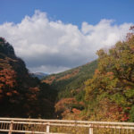 すっかり秋模様