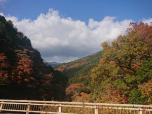 すっかり秋模様