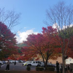 紅葉と滝を一緒に楽しむ