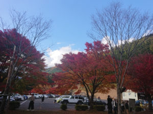 紅葉と滝を一緒に楽しむ