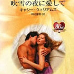 吹雪の夜に