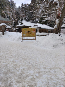 昨日は病院と初詣