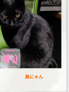 ”ふんどし祭り(笑)”