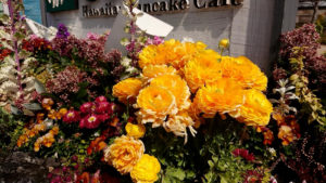 猫いるし外国人だし賃貸むずかしい