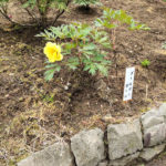 怖いことからもう目を背けない
