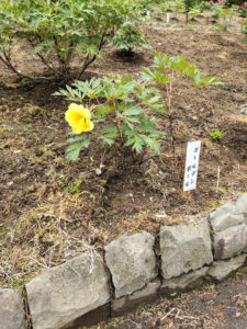 怖いことからもう目を背けない