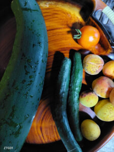 暑い朝からセミが鳴いてます