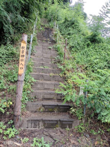 ワクチン接種してきた！