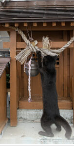 お疲れ様でした皆様、そして自分