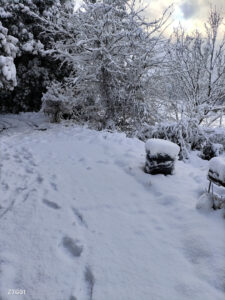 昨日は休みでした。