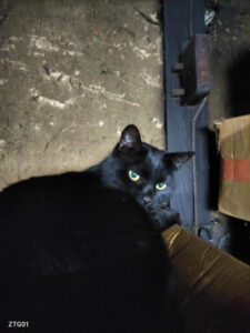 風邪ひいたみたいなのでおデートキャンセル