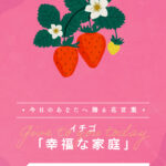 今日の花言葉