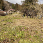 今年初の畑仕事