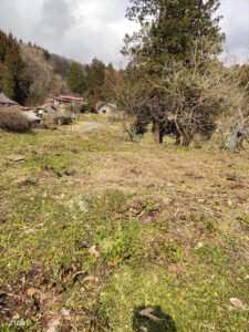 今年初の畑仕事