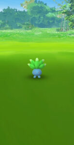 作り置きおかず