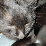 おデートしてきた(愚痴ばかり閲覧注意)