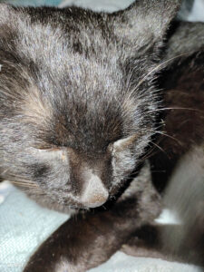 おデートしてきた(愚痴ばかり閲覧注意)