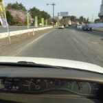 桜が咲いたの〜春だべさ!