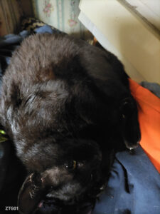 おデートしてきた。