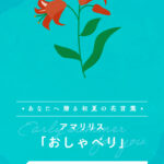 初夏の花言葉診断