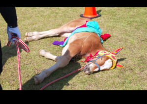 生理が来ちゃった