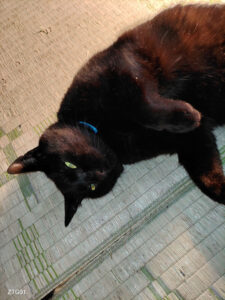 お疲れ様✨女神は自由に生きる