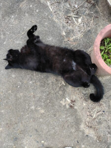 昨日はいいお天気でした