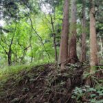岩ゴロゴロぉでーと