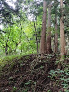 岩ゴロゴロぉでーと