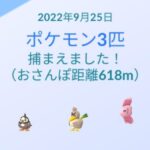 断捨離の記事書こうとしてて昼寝して
