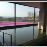 おひとり様で温泉♨️