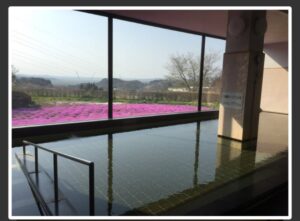 おひとり様で温泉♨️