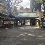 お墓参りしてきた