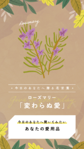 今日のあなたへ贈る花言葉