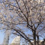 ヨコハマ~たそがれ〜