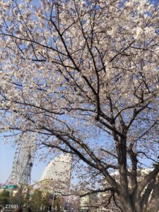 ヨコハマ～たそがれ〜