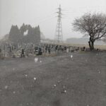 雪〜