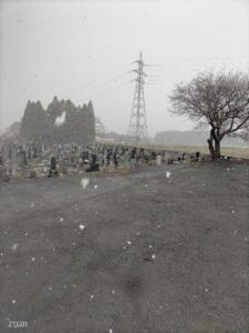雪〜